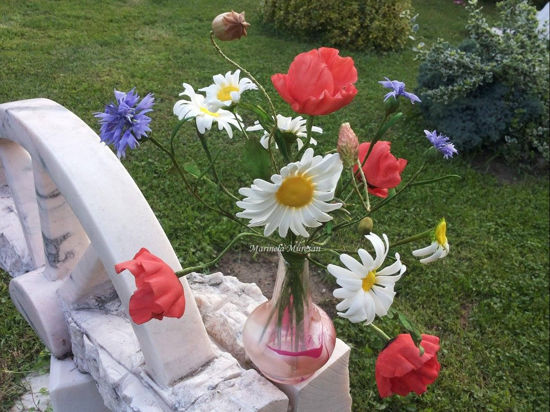 Buchet flori de camp comestibile din pasta de zahar by Marinela Muresan