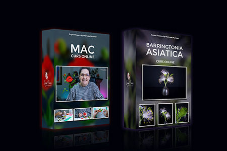 Poza pentru categoria Cursuri online