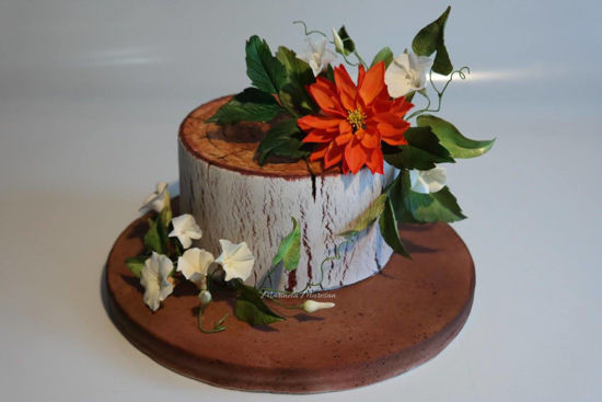 Tort in forma de trunchi de copac cu dalie si volbura comestibile
