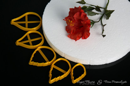 Set de decupatoare portocalii asezate pe masa langa o Crizantema comestibila de culoare rosie