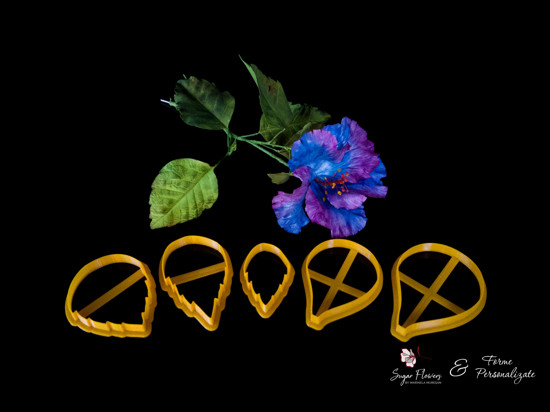 Decupatoare Hibiscus asezate pe masa langa un Hibiscus de culoare albastru cu mov