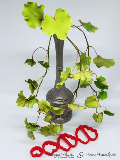 Set de decupatoare rosii asezate pe masa langa Glechoma