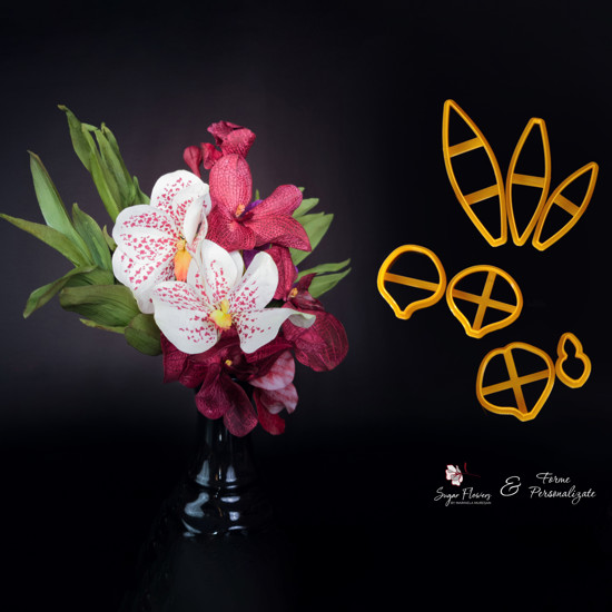 Set de decupatoare portocalii asezate langa Ordihee Vanda de culoare Alba si Roz