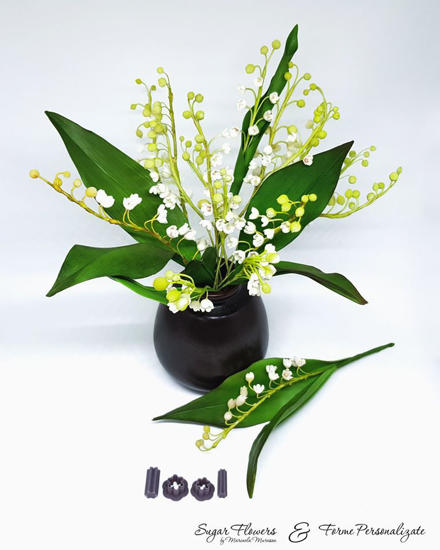 Decupatoare Lacramioare, asezate in fata unei Lacramioare comestibile, pe fundal alb