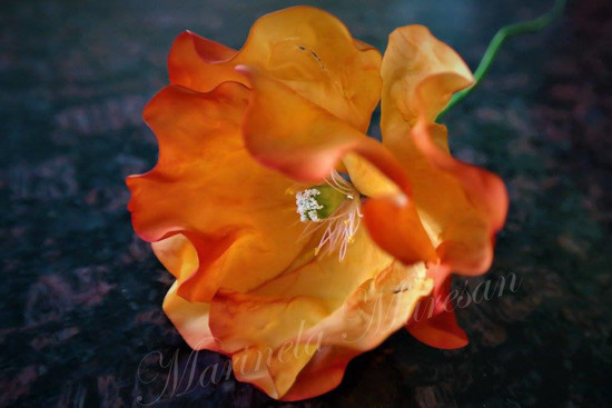 Mac dublu Californian Strawberry Fields portocaliu