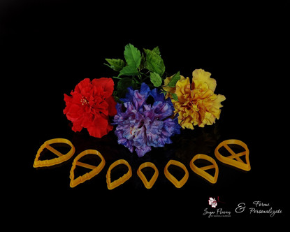 Hibiscus dublu rosu, mov si galben asezate intr-o vaza, pe un fundal negru