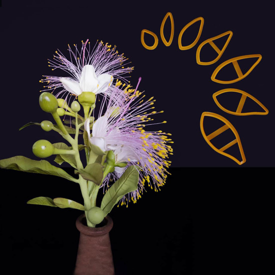 Set de decupatoare portocalii alaturi de floarea Barringtonia Asiatica