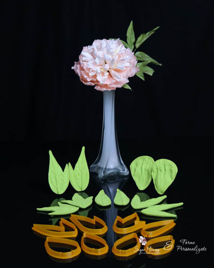 Veinere si decupatoare, asezate in fata unui bujor comestibil