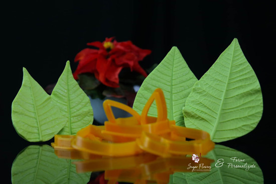 Veinere si decupatoare asezate in fata unei Craciunite rosii, cu fundal negru