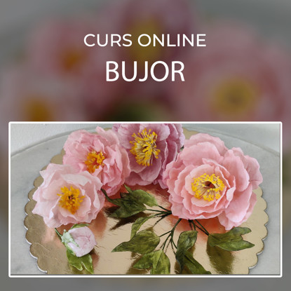 Poza cu Curs Online Bujor din Vafa