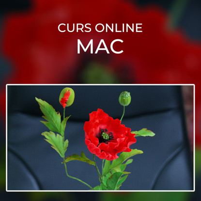 Mac comestibil din pasta de zahar de culoare rosie, pe un fundal negru.