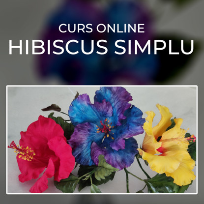 Trei Hibiscusi comestibili de culoare albastru cu mov, rosu si galben asezati pe un fundal alb