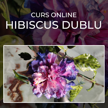 Hibiscus dublu de culoare roz si mov asezat pe un blat de onix