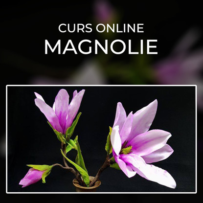 Magnolii roz cu alb pe fundal negru