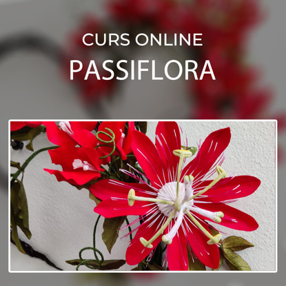 Passiflora rosie asezata pe o masuta alba