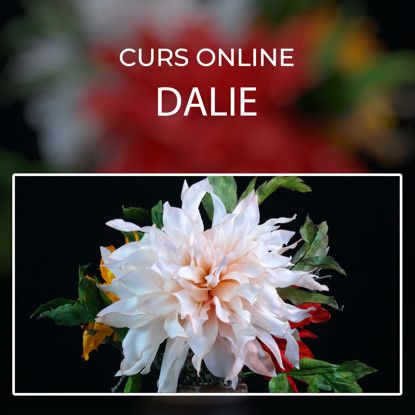 Dalie comestibila alba pe fundal negru