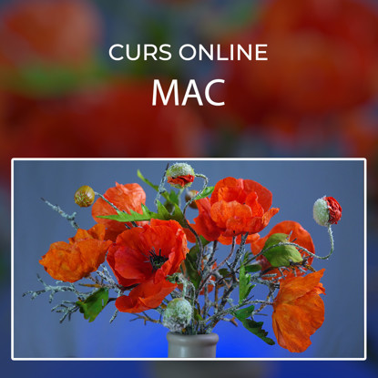 Maci comestibili din vafa asezati in fata unui fundal albastru