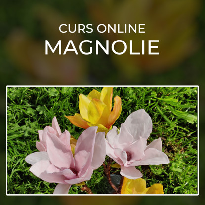 Magnolii comestibile roz si galbene asezate in iarba