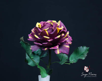 Trandafir Abracadabra comestibil de culoare mov cu galben, din pasta flexibila, pe fundal negru