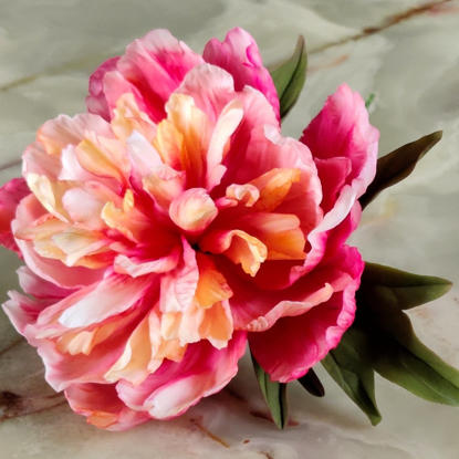 Bujor Lorelei roz asezat pe un blat de onix