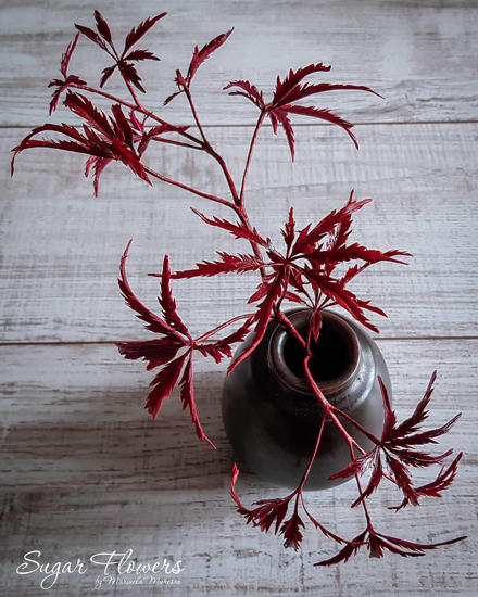 Artar Japonez de culoare rosie intr-o vaza