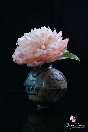 Bujor roz asezat intr-o vaza, pe fundal negru