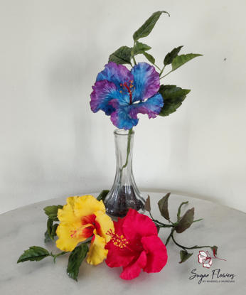 Hibiscus Albastru si Mov asezat in vaza, cu hibiscus rosu si galben asezate pe masa