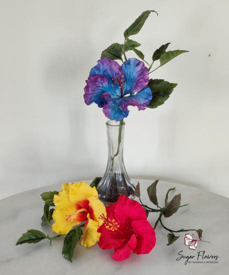 Hibiscus Albastru si Mov asezat in vaza, cu hibiscus rosu si galben asezate pe masa