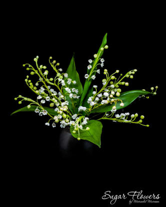 Lacramioare pe un fundal negru