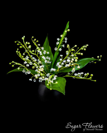 Lacramioare pe un fundal negru