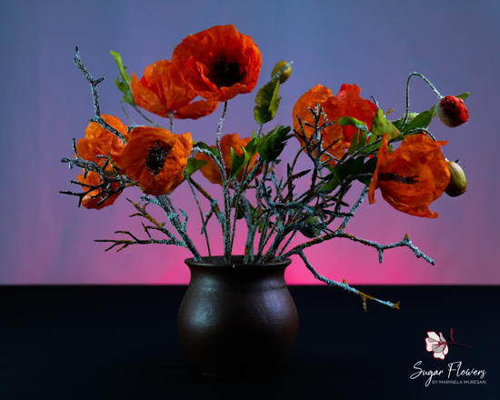 Maci orientali rosii din vafa in vaza si fundal inchis