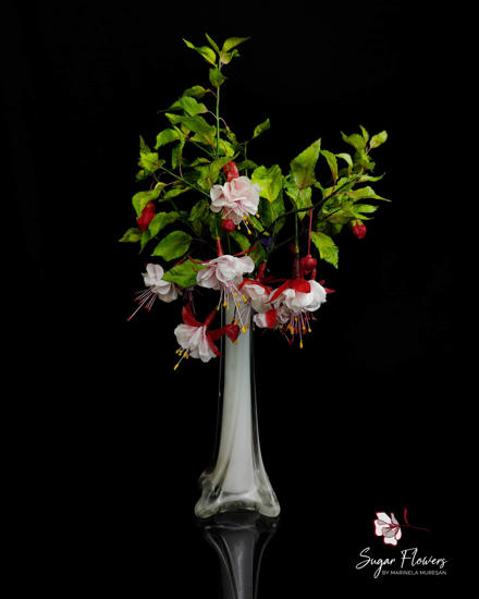 Fuchsia in vaza alba cu decor negru