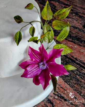 Clematită  Jackmanii mov din zahăr pe un tort alb, cu frunze verzi și boboci.