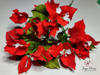 Bougainvillea pe decor alb