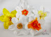 Buchet de narcise artizanale în nuanțe de alb și galben solar, pe un funcal alb 