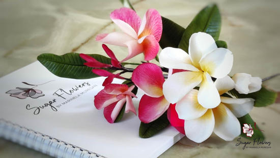 Buchet de flori Plumeria artizanale în nuanțe alb-galben și roz, pe fundal marmorat.