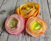 Aranjament de Ranunculus  multicolori pe blat de lemn