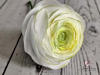 Aranjament de Ranunculus alb pe blat de lemn