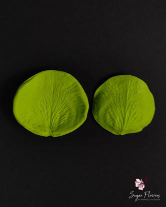 Veinere verzi din silicon pentru trandafir pe fundal negru