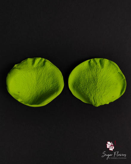 Veinere verzi din silicon pentru trandafir pe fundal negru