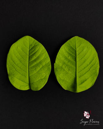 Veinere verzi din silicon pentru trandafir pe fundal negru