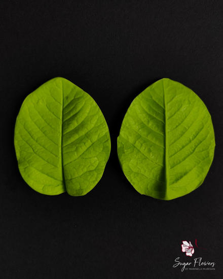 Veinere verzi din silicon pentru trandafir pe fundal negru