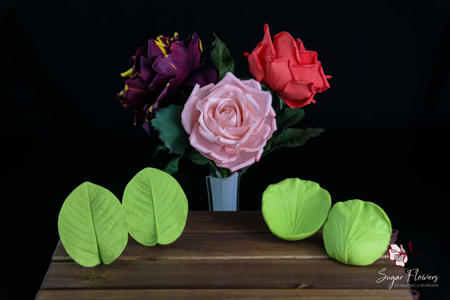 Poza pentru categoria Veinere