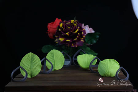 Poza pentru categoria Seturi complete