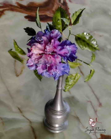 Poza pentru categoria Hibiscus dublu